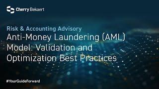 Anti-Money Laundering (AML) Model: Validation and Optimization Best Practices