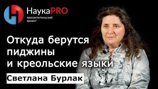 Откуда берутся пиджины и креольские языки? | Лекции по лингвистике – Светлана Бурлак | Научпоп