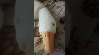 флексит гусь Андрей!