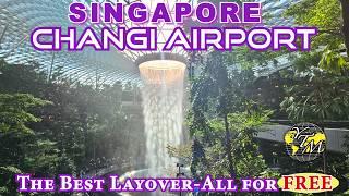 CHANGI AIRPORT SINGAPORE-The BEST Layover- And it's ALL for FREE