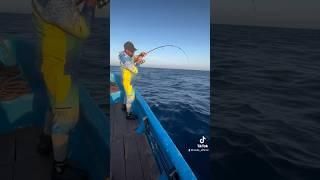 IS THAT A TRAVEL ROD!?  #fiorettoessence #tunafishing #offshorefishing