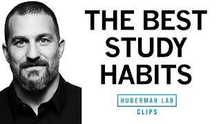 The Top Study Habits to Improve Learning | Dr. Andrew Huberman