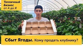 Сбыт ягоды. Кому и куда продать урожай клубники, оптовики и розница. Лукошки и картонная тара