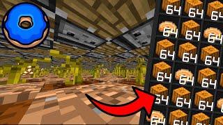 Building a HUGE PUMPKIN FARM on Donut SMP (Minecraft)