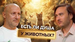 Есть ли душа у животных?