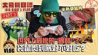 袋鼠肉好吃嗎？挑戰跳舞和吃飼料! 這一次真的被"國寶"打敗了...【大飛機日誌-雪梨】 Part5