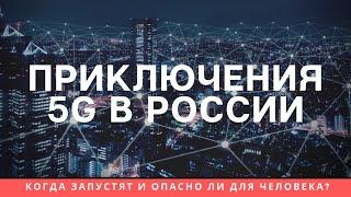 5G в России: когда запустят и опасен ли он для человека?