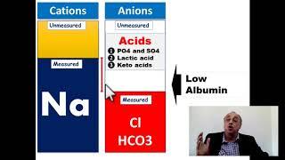 Low serum albumin [Anion Gap!!!]  #cme #internal_medicine #medical #doctor #محاضرات_باطنة