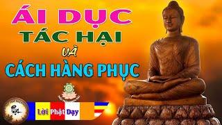 Lời Phật Dạy Về Ái Dục - Tác Hại và Cách Hàng Phục CỰC HAY! Phật Pháp Nhiệm Màu