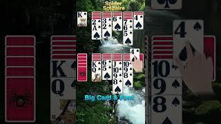Spider Solitaire