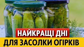 ДЛЯ ЗБЕРІГАННЯ ТА СМАКУ.  Місячний календар заготівлі огірків на липень та серпень 2024 року