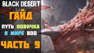 Гайд - Прохождение Дригана! Путь новичка в Мире BDO в 2020 году! Часть №9! [Black Desert]