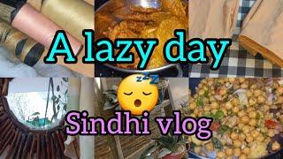 A lazy day /my daily routine  🫕 ️🪴🪣/sindhi vlog 