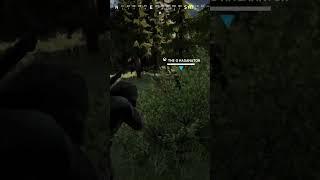 Vigor friendly fire