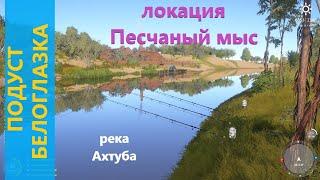 Русская рыбалка 4 - река Ахтуба - Подуст и белоглазка