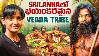 I MET MOST DANGEROUS TRIB IN SRILANKA | VEDDA TRIBE | LAST HUNTERS AND GATHERERS