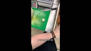 Овощи гиганты #овощ #лук #гигант #сказка #фантастика #турболетик #ян #еда #питер #чиполлино #onion