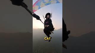 Flying witch caught on cam. #viral #shorts