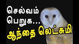 lucky owl lakshmi | yaanan speech |   @channelartindia