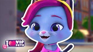  HAIR STYLES PARTY  COLLECTION  VIP PETS  HAIRSTYLES ‍️ Full Episodes  For KIDS in ENGLISH