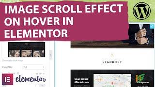 How to Create Image Scroll on Hover in Elementor WordPress