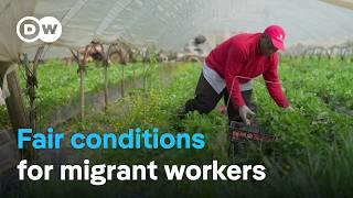 The fight against exploitation of migrant workers in Italy | DW Documentary