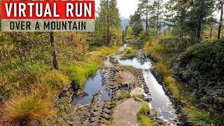 Virtual Run in Stunning Nature Scenery | Treadmill Workout