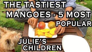 The Large Family of Julie Mango: Sophie Frey, Taralay, Juliette, Super Julie + Surprise Sibling