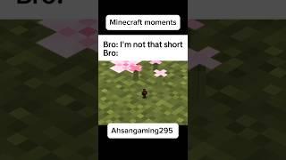 Minecraft moment #minecraftshorts #minecraft #memes #ahsangaming #minecraftjokes