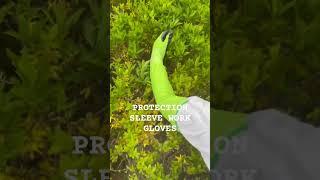 Grab a pair of CharGuy Long Sleeve Work Gloves today! #workgloves #garden #gardeningtips #gloves