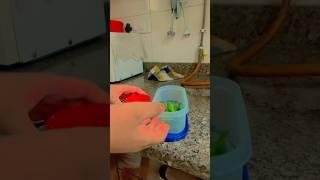 @gayuskitchen  Roasted ! #gayus #kitchen #roasted #shorts #yt #trending