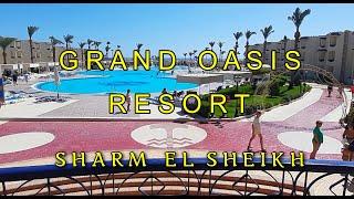 GRAND OASIS RESORT 4*.   Шарм Эль Шейх .Обзор обеда и территории