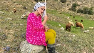 Exploring Daily Routine in Iran's Nomadic Life : IRAN nomadic lifestyle