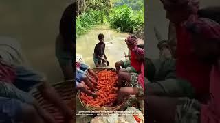 You Won’t Believe How These Farmers Wash Carrots – Using Their Feet!