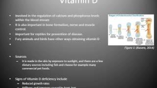 Animal Nutrition: Vitamins Video