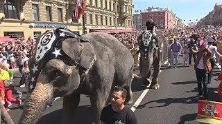 Слоны на Невском: как в Санкт-Петербурге отмечали День города