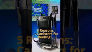 5 Reasons Canister Filters ROCK for Reef Tanks!