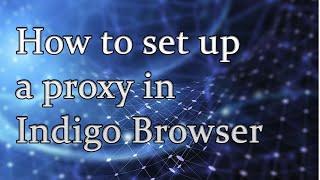 How to set up a proxy in Indigo Browser