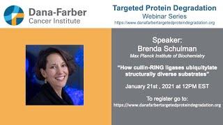 Brenda Schulman - Dana-Farber Targeted Degradation Webinar Series