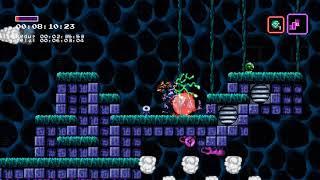 Axiom Verge 100% Items Speedrun in 1:08:10