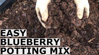 Easy Blueberry Potting Mix Recipe Without Expensive Shipped In Ingredients