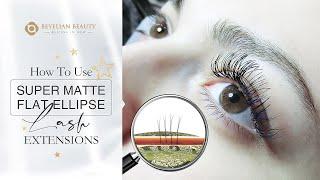 Beyelian Eyelash Extensions 101 | How to Use Super Matte Flat Ellipse Lash Extensions