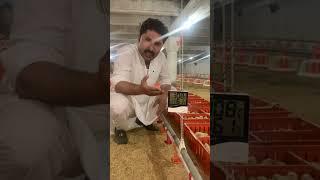 Dawood Khan Poultry Farming Sargodha