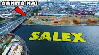 ELEVATED EXPRESSWAY PAPUNTANG NEW MANILA INTERNATIONAL AIRPORT | SALEX