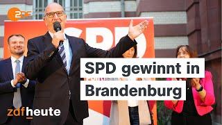 Woidkes SPD gewinnt nach Kopf-an-Kopf-Rennen mit der AfD | Landtagswahl in Brandenburg