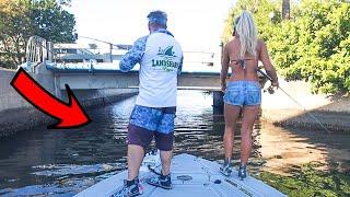 Tossed a Live Shrimp Under a TINY Bridge & You Wont Believe What Happened! (Catch & Cook)