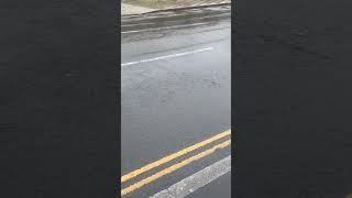 Walking in the rain this afternoon ️