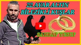 ️ Altın Bilezikli Güvercinler  Sarraf yusuf KAYSERİ