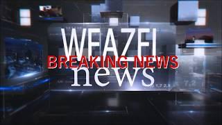 Weazel News with Dan Michaels | BREAKING NEWS | New Mayoral Candidate