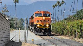 [HD] BNSF R-CAL0031 Pasadena Local Chase from Claremont to Irwindale